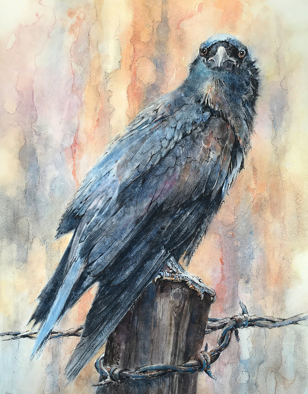 ginny o'neill, watercolor paintings, watercolors, animal portraits, animal watercolors, pet portraits, portraits, birds, dogs, wolves, ravens, birds